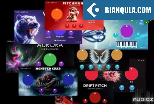 13个卡通插件包 Vox Samples MaxStarter v1.0.0 v3.0.2 （包含 Pitchmunk Pitch Shifter Fat Cat Saturation Fire Boy Bass Enhancer Time Turtle Delay Wider Tiger Stereo Enhancer Pixel Rabbit Bitcrusher Rainbow Bird EQ Vox Tune Auto Pitch Monster Crab Clipper Aurora Air Enhancer Drift Pitch Vibrato Effect Angelic Analog Chorus Vowel Changer Formant Filter VoxSamples Max Starte）