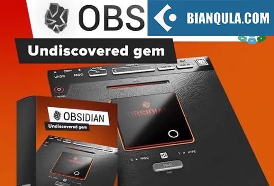 多功能调制效果器 W.A. Production Obsidian v1.0.2 BUBBiX Win （WA W A）