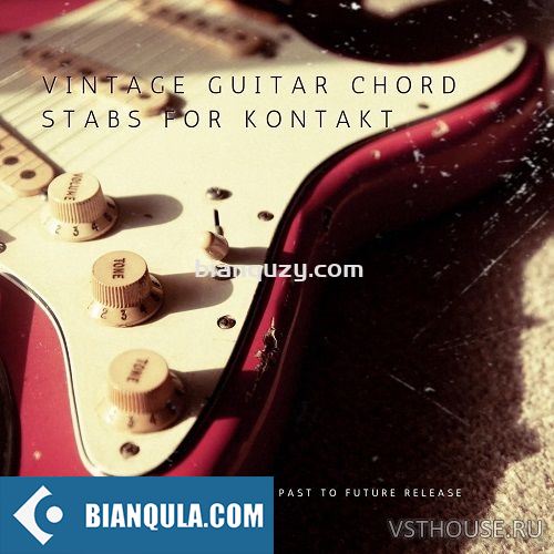 电吉他 Past to Future Reverbs Vintage Guitar Chord Stabs KONTAKT