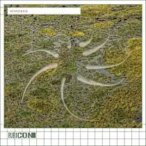 Rubicon Biopoiesis WAV-FANTASTiC