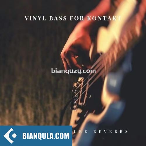 黑胶电贝斯 Past to Future Reverbs Vinyl Bass Guitar KONTAKT