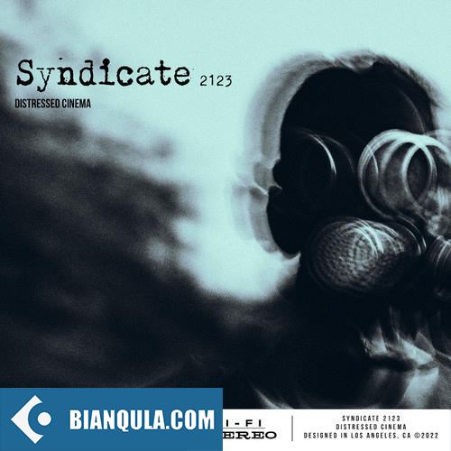 Steinberg Sonalsystem Syndicate 2123 VSTSOUND
