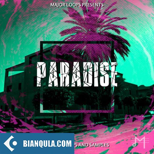 Dynasty Loops Paradise WAV-FANTASTiC