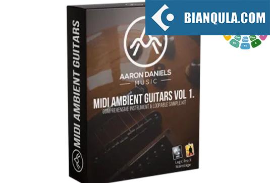 灵魂吉他音色库 Aaron Daniels Music Midi Soul Guitar Vol 1