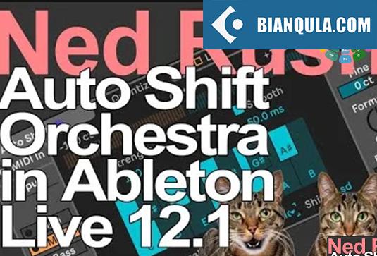 直播工程模版 Auto Shift Everything Livestream Project and Samples Ableton Project