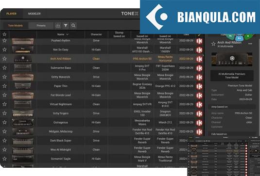 电吉他音色模型预设合集 IK Multimedia ToneX Presets Bundle v2025.1