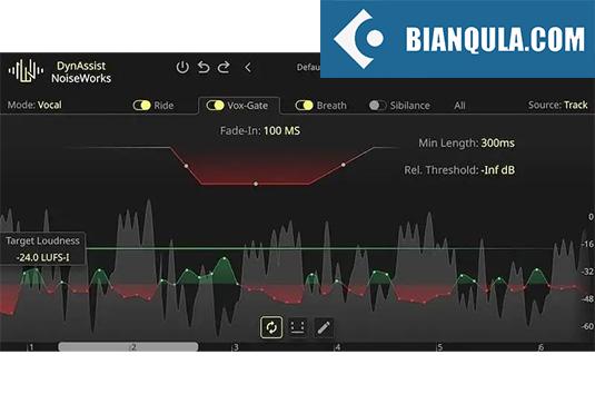 人声编辑插件 NoiseWorks DynAssist v2.1.4 Win （Noise Works Dyn Assist）