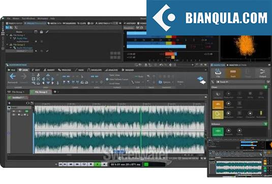 母带音频编辑软件 Steinberg WaveLab Elements v12.0.50 VR Win