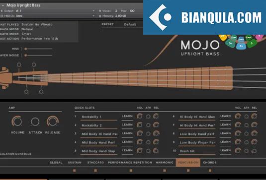 爵士低音提琴音源 Vir2 MOJO Upright Bass v1.0.1