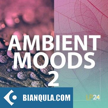 Lp24 Ambient Moods 2 WAV-FANTASTiC