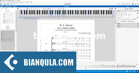 打谱软件 – capella-software capella 9.0.8.2 WIN
