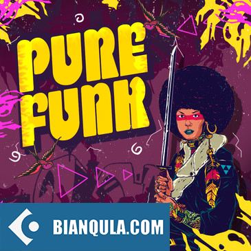 Singomakers Pure Funk MULTiFORMAT-FANTASTiC