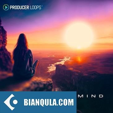 Producer Loops Open Your Mind MULTiFORMAT-FANTASTiC