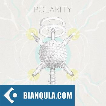 Mattia Cellotto Polarity WAV
