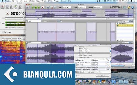 现场录音软件 – Amadeus Pro 2.8.12 MacOSX
