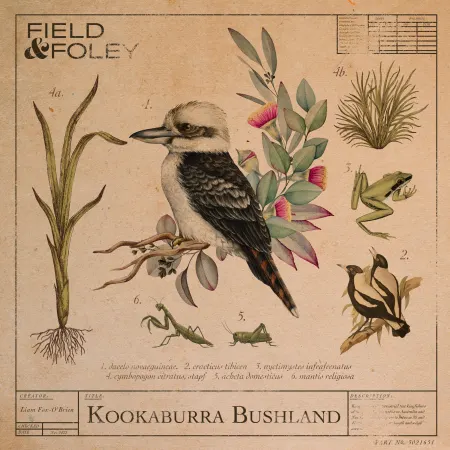 Field and Foley Kookaburra Bushland WAV-FANTASTiC