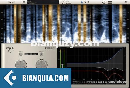 Slate Digital & Eiosis E2Deesser v1.1.5.0 WIN