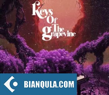 Sound of Milk and Honey Keys of the Grapevine WAV-FANTASTiC