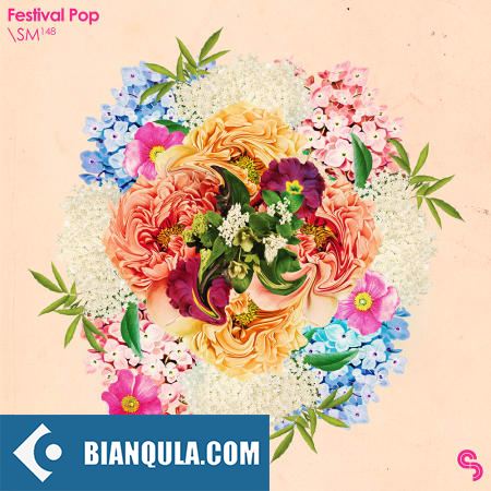 Sample Magic Festival Pop WAV-FANTASTiC