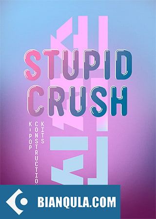 Big Fish Audio Stupid Crush K-Pop Construction Kits Acidized Wav