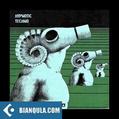 BFractal Music Hypnotic Techno WAV-FANTASTiC