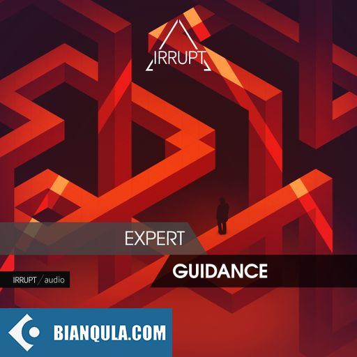 Irrupt Expert Guidance WAV-FANTASTiC