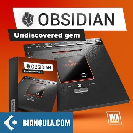 单旋钮多重效果器插件 – W.A Production Obsidian v1.0.0 macOS WIN