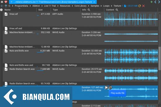 音频文件管理器 – Music Developments Fyler 1.0.7 WIN