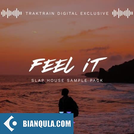 TrakTrain Feel It Slap House WAV-FANTASTiC