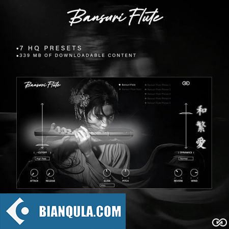 中国笛 – Infinite Audio Bansuri Flute (VSTI) v1.0.0 Win/Mac