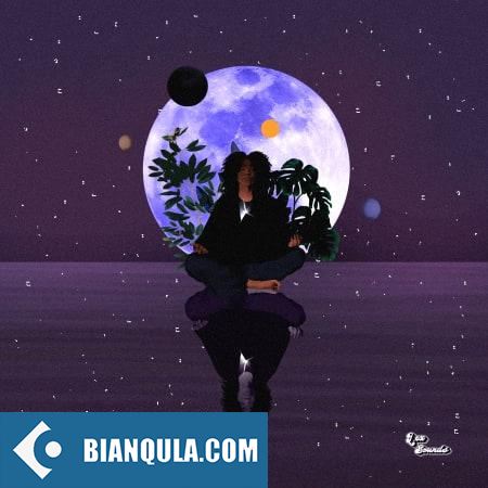 LEX Sounds Future Soul Meditations WAV-FANTASTiC