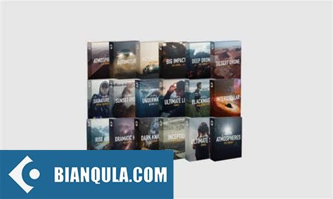 Film Space The Master Bundle LUTs