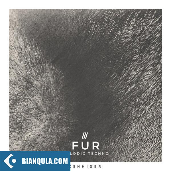 Zenhiser Fur Melodic Techno WAV-FANTASTiC