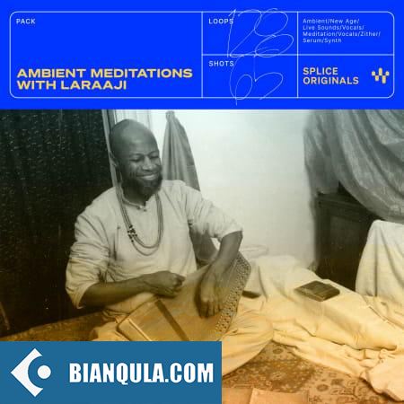 Splice Originals Ambient Meditations with Laraaji WAV MiDi XFER RECORDS SERUM-FANTASTiC