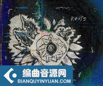 Eville Ruuts (Expansion) WAV Cymatics Lotus Presets TUTORiAL-FANTASTiC