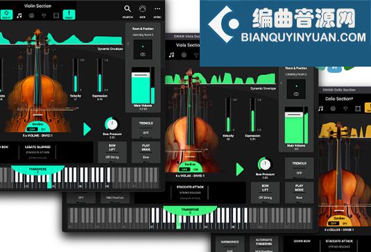 物理建模弦乐群奏 Audio Modeling SWAM String Sections v1.4.0 R2R Win
