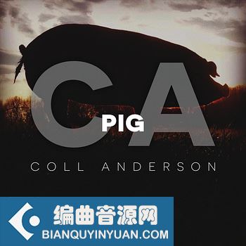 C.A. Sound Inc Pig WAV-FANTASTiC