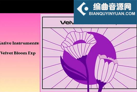 拓展音色包 Native Instruments Velvet Bloom Maschine Expansion