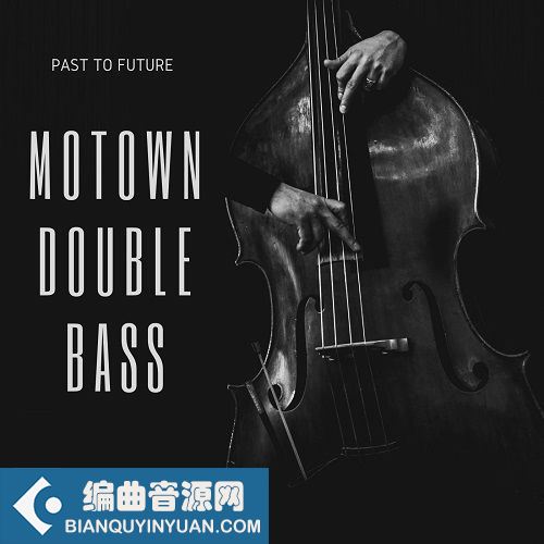 低音提琴 Past to Future Reverbs Motown Double Bass KONTAKT