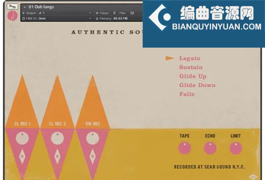 中世纪人声合唱音色 Authentic Soundware Space Age Voices