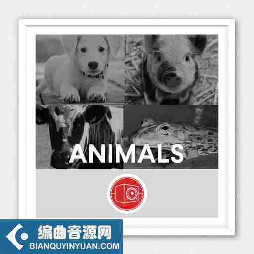 Big Room Sound Animals WAV-FANTASTiC
