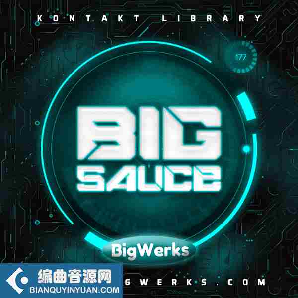 Bigwerks Big Sauce Kontakt