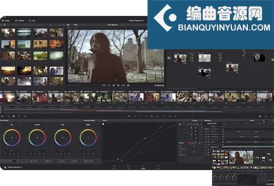 专业视频剪辑软件 Blackmagic Design DaVinci Resolve Studio v19.0.1 R2R Win