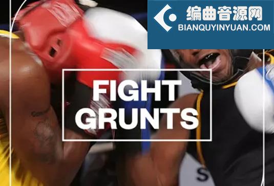 格斗拳击音效 Blastwave FX Fight Grunts WAV