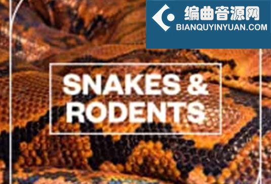 蛇和啮齿动物音效 Blastwave FX Snakes and Rodents WAV