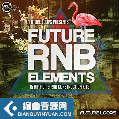Future Loops Future RNB Elements WAV-DECiBEL