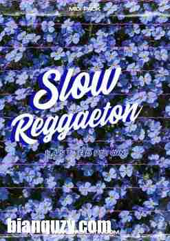 Midilatino Slow Reggaeton Vol. 2 WAV-FANTASTiC