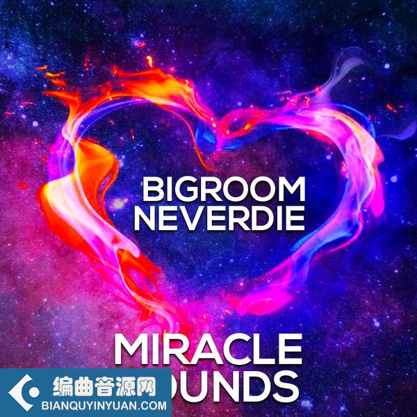 Miracle Sounds Bigroom Neverdie WAV MiDi FXP-FANTASTiC