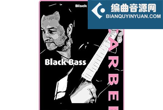 迪斯科黑贝斯 Native Instruments Scarbee Black Bass DI