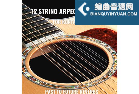 12弦原声吉他 Past to Future Reverbs 12 String Arpeggio Guitar